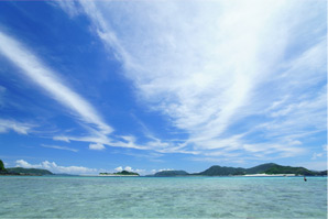 ���傫�����ėY�傳��\���q�܂����ʕ��i�Əo��A�Ă̗��� �m�C�̐F�ҁn�bSony�fs feature�b�\�j�[�r