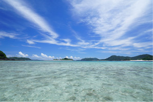 �o�����X���Ƃ��ĉ��₩�Ȍ��i�Ɂq�܂����ʕ��i�Əo��A�Ă̗��� �m�C�̐F�ҁn�bSony�fs feature�b�\�j�[�r