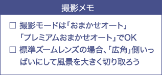 �B�e�����q�܂����ʕ��i�Əo��A�Ă̗��� �m�C�̐F�ҁn�bSony�fs feature�b�\�j�[�r