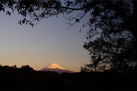 �L�p���Ŏ���̕��i���������