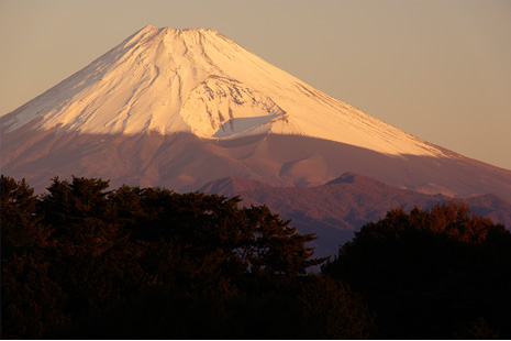 �]�����Ń_�C�i�~�b�N�ɕ\��