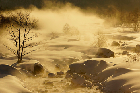 �z���C�g�o�����X�F���A