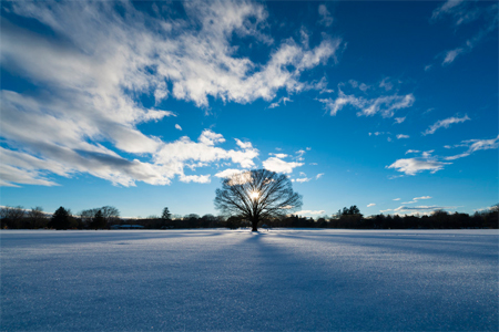 ���I�[�i�[�̓~�i�F01