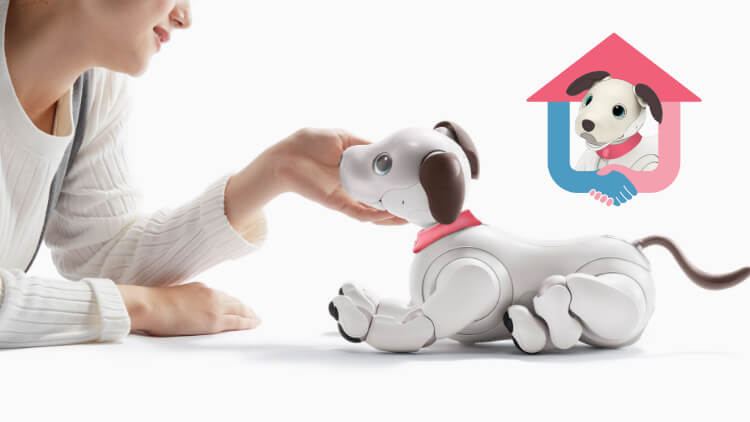 My Sony STORY vol.8uI[i[܂aibo̐[J𖢗ɂȂĂṽL[rWA