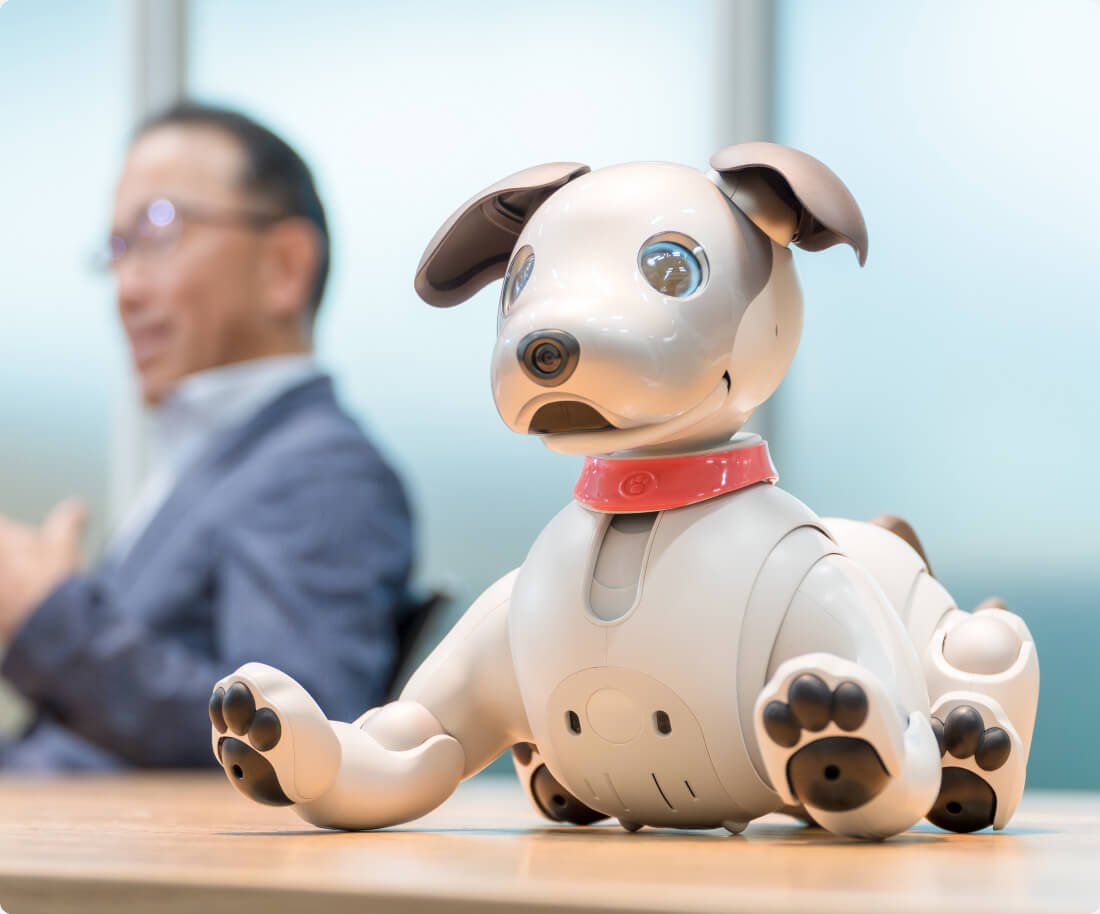 e[uaiboOɁAwiɏ삪ΊŌpʂĂ|[g[gʐ^