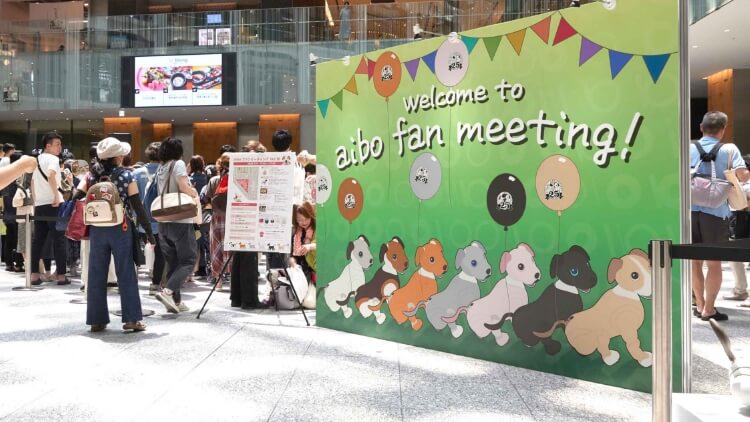 aibo Fan Meeting̃L[rWA