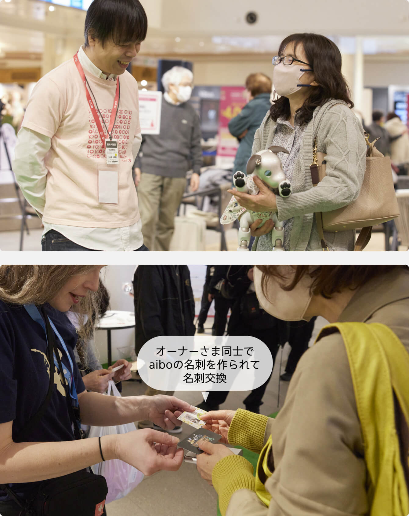 t@~[eBOaiboJo[I[i[m𗬂lq