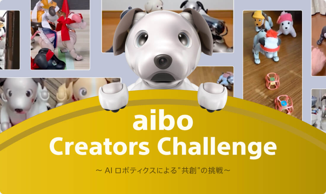 aiboNGC^[Y`W2025 \̗lq