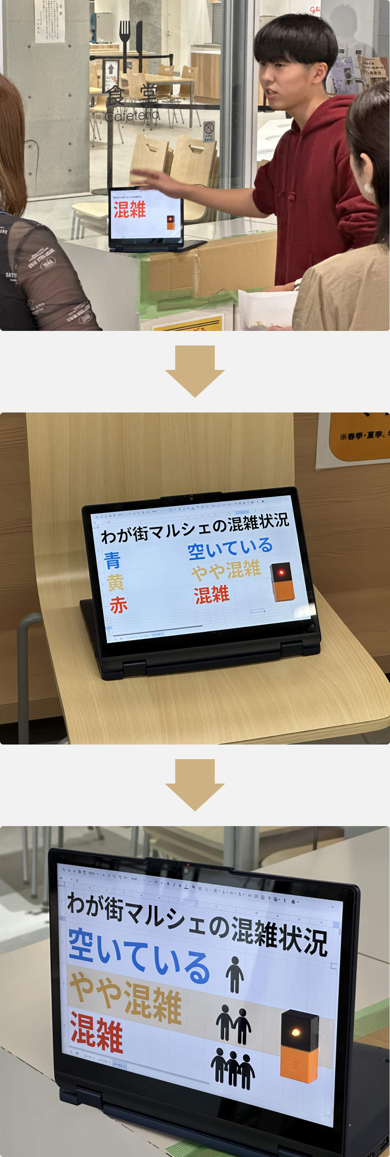 �w���Փ�����MESH�����p�����W���̗l�q