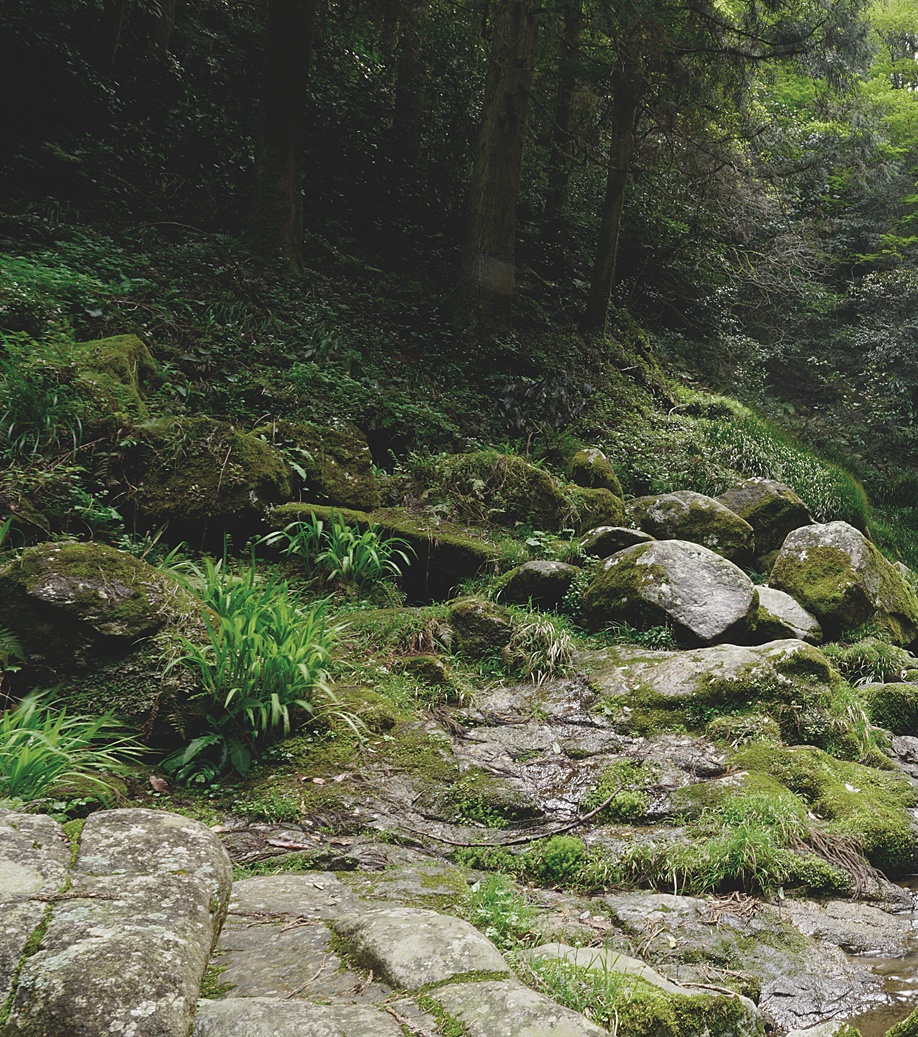 msRGB̃C[WnAdobeRGBΉ̃urAȂLFČłBtHgOt@[IXXuerŊyސVʐ^ӏ܁v