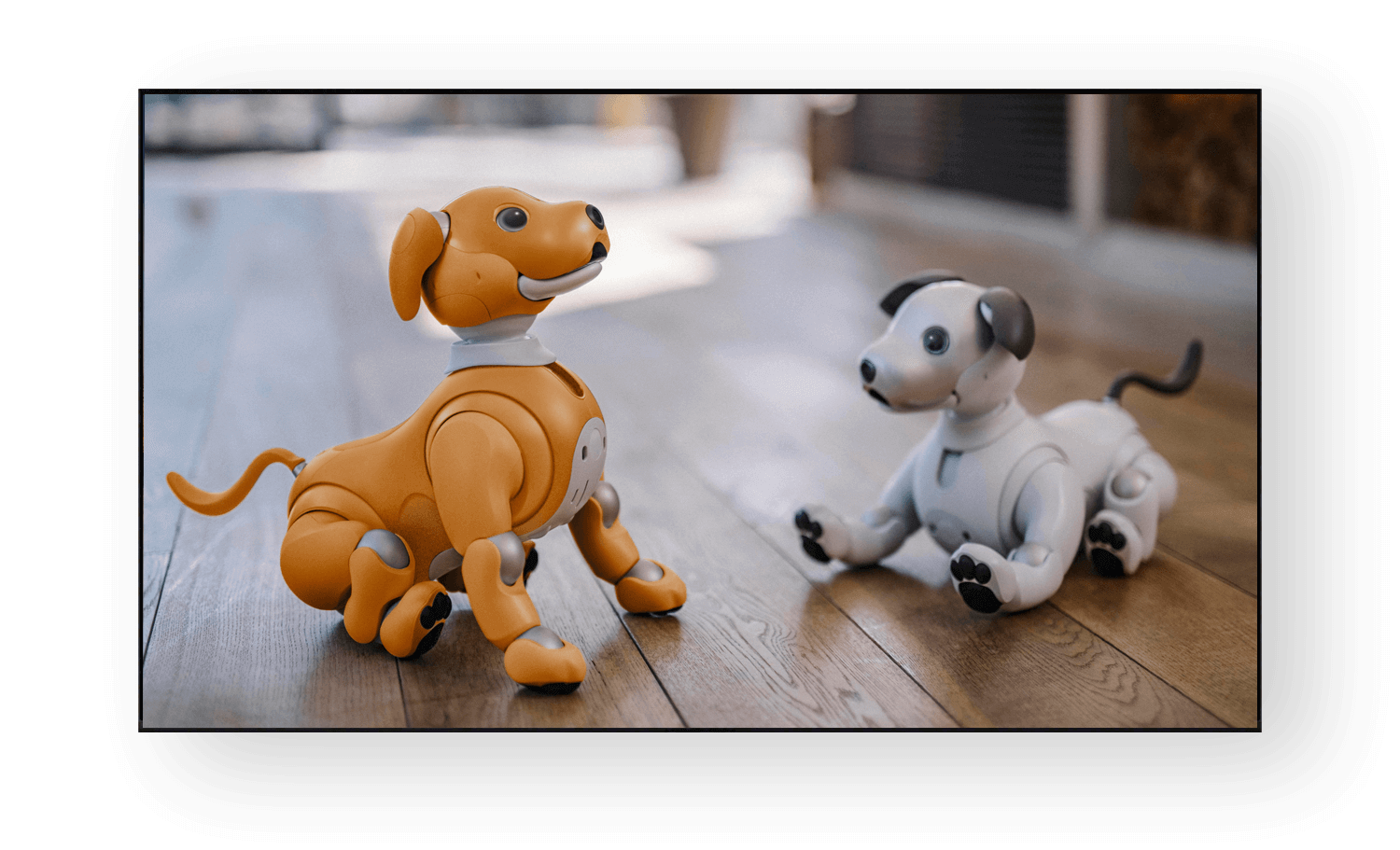 aibo：My story with aibo画面