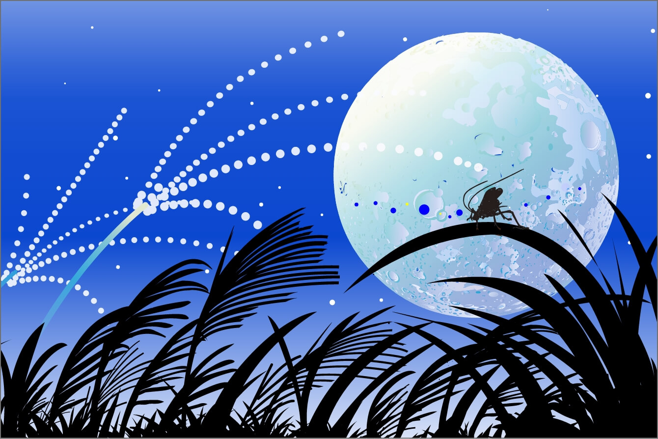 �钎�̖����C���[�W