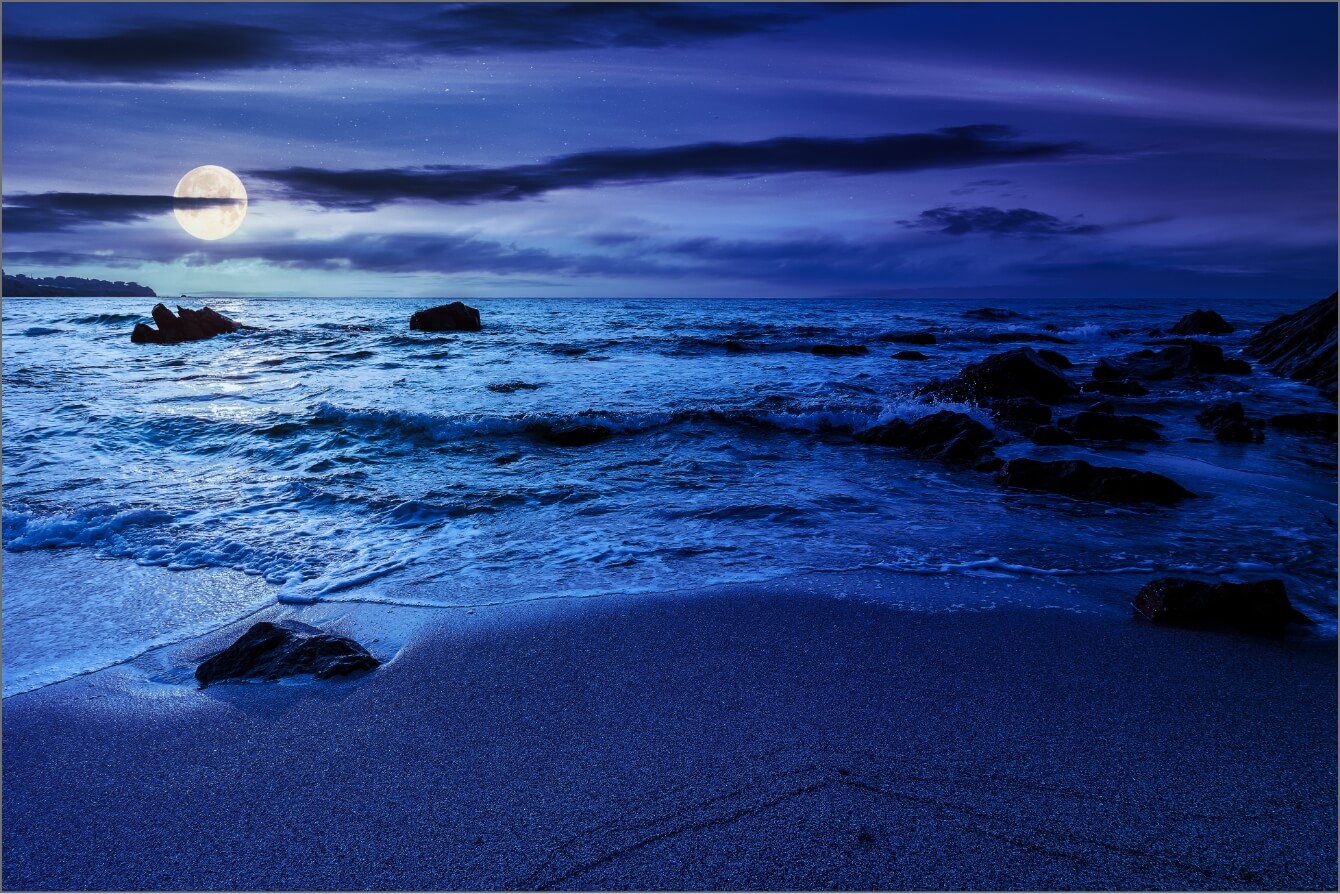 �g�̉��C���[�W