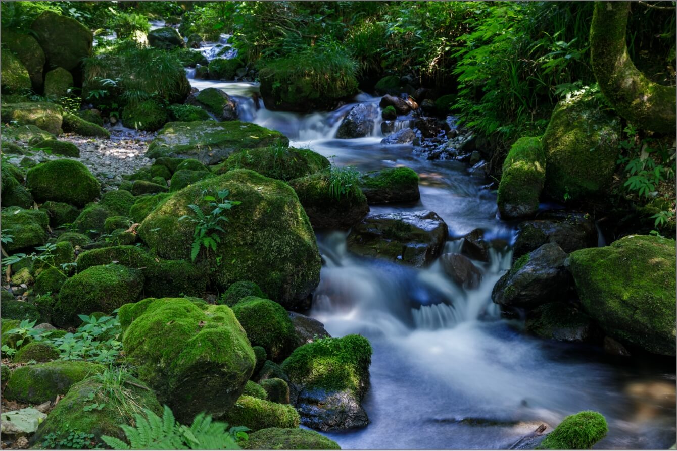 ����̂����炬�C���[�W