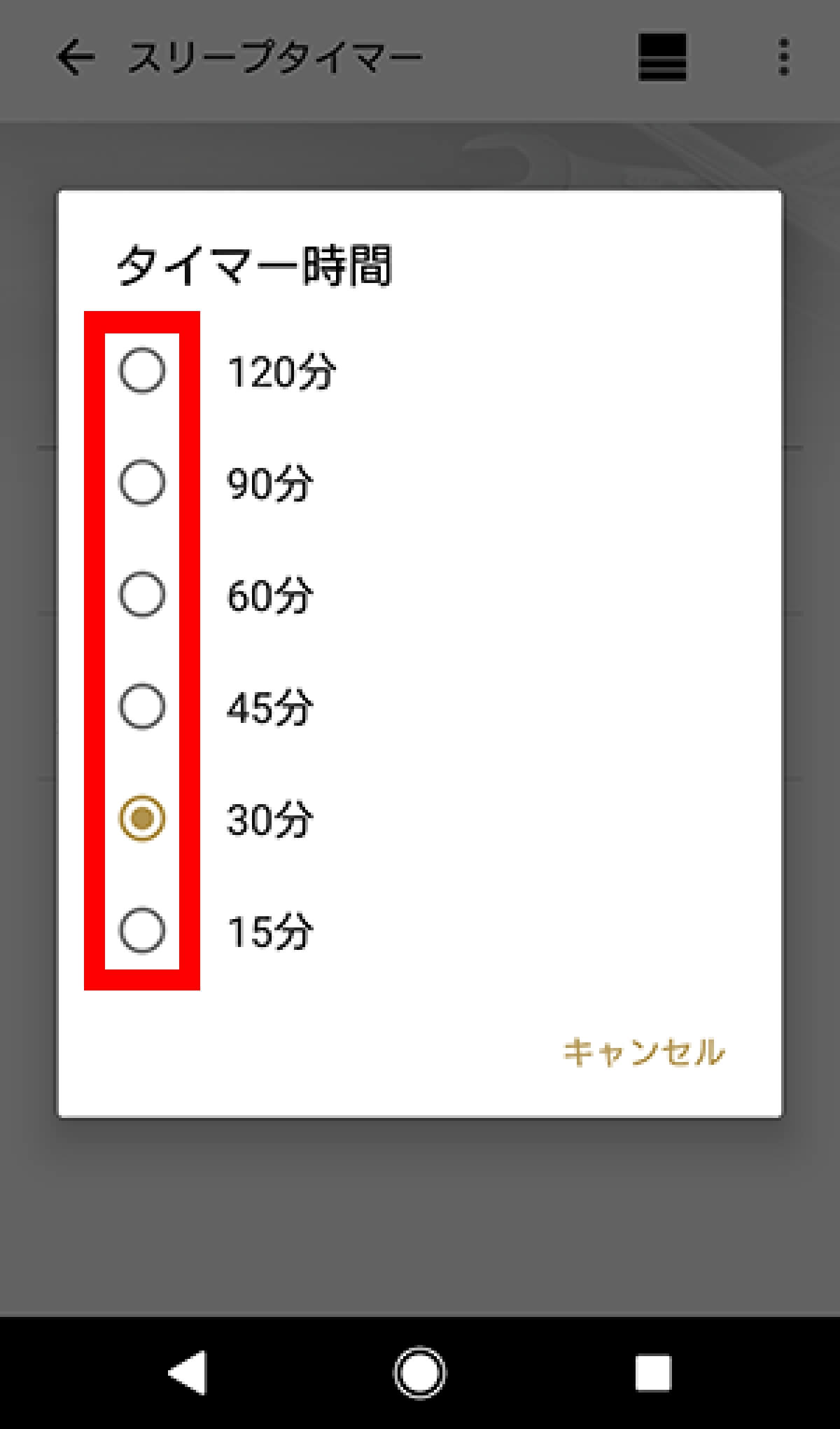 �^�C�}�[���Ԑݒ���