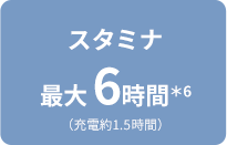 �X�^�~�i�ő�6���ԁ�3�i�[�d��1.5���ԁj