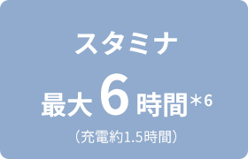 �X�^�~�i�ő�6���ԁ�3�i�[�d��1.5���ԁj