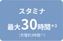 �X�^�~�i�ő�30���ԁ�3�i�[�d��3���ԁ�4�j