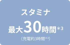 �X�^�~�i�ő�30���ԁ�3�i�[�d��3���ԁ�4�j