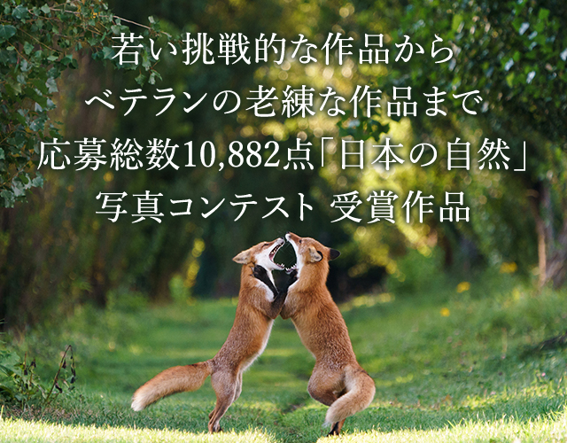 若い挑戦的な作品からベテランの老練な作品まで応募総数10 882点 日本の自然 写真コンテスト受賞作品 ソニー