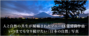 人と自然の共生が凝縮されたソニー4K賞受賞作品 いつまでも守り続けたい「日本の自然」写真