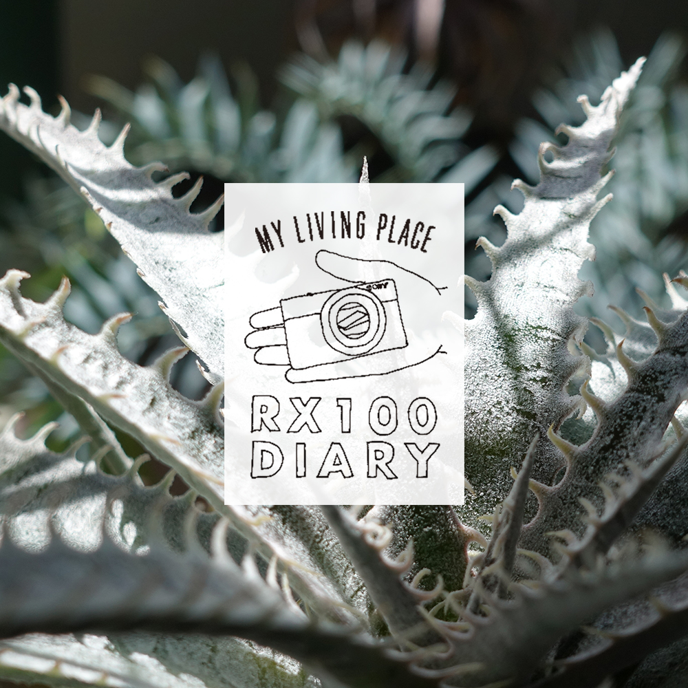 �N���G�C�^�[���B��A���X�̕��i �uRX100�_�C�A���[�v