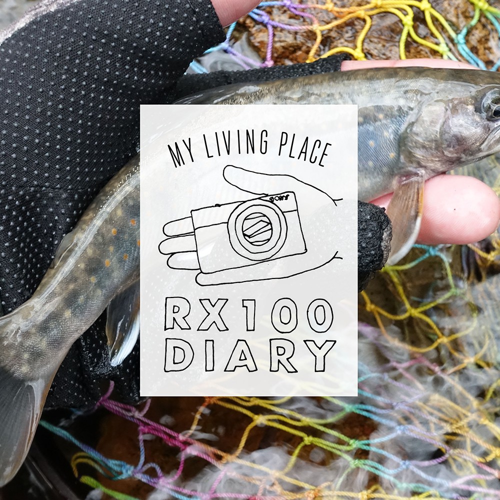 �N���G�C�^�[���B��A���X�̕��i