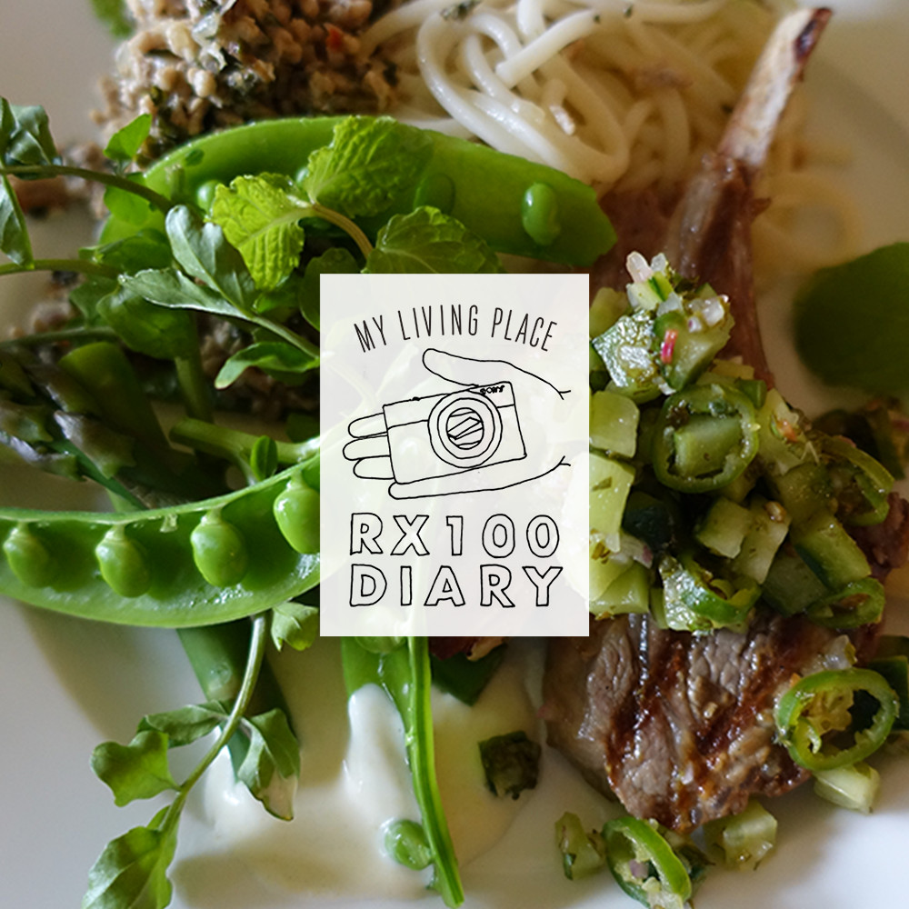 ������ �␅���񂪎B��A���X�̕��i�uRX100 �_�C�A���[�v