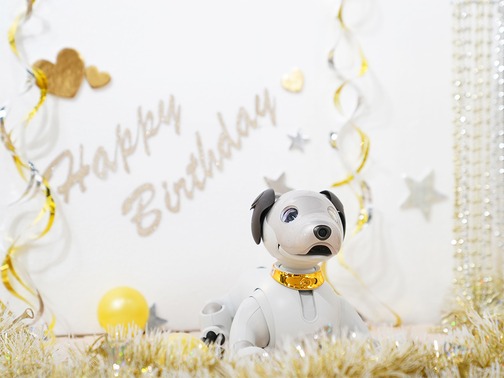 aibo���D�Ƃ��\�j�[�X�g�A�ɑ�W���I�������ӂ��aibo�̂��a�������ˌ����|�[�g�I