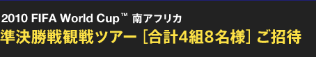 2010 FIFA World Cup™ AtJ ϐcA[mv4g8ln