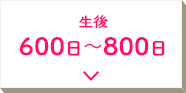  600`800