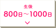  800`1000