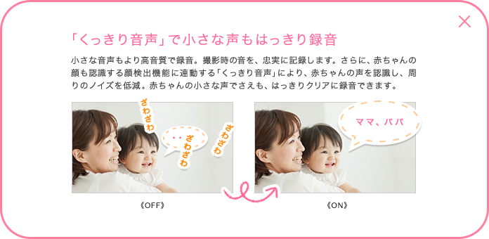 �u�������艹���v�ŏ����Ȑ����͂�����^��