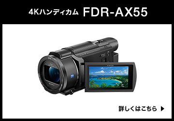FDR-AX55
