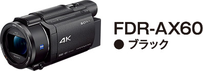 FDR-AX60