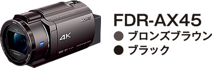 FDR-AX45