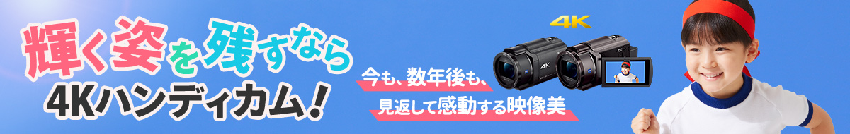 �P���p���c���Ȃ�4K�n���f�B�J���I