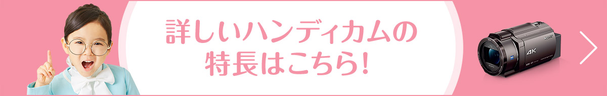 �ڂ����n���f�B�J���̓����͂�����