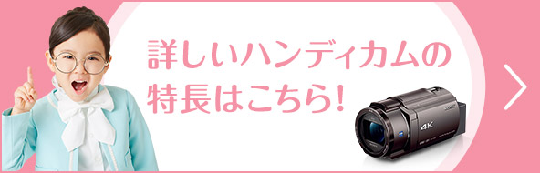 �ڂ����n���f�B�J���̓����͂�����