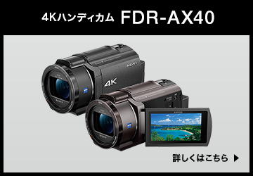 FDR-AX40