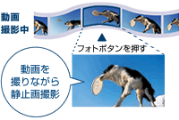 5.1�����Z���^�[�}�C�N�@�\