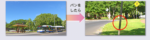 �p����������