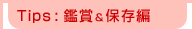 Tips:�ӏ�&�ۑ���