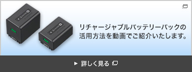 NP-FV70A | デジタルビデオカメラ Handycam ハンディカム | ソニー
