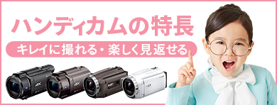 FDR-AX45 | デジタルビデオカメラ Handycam ハンディカム | ソニー