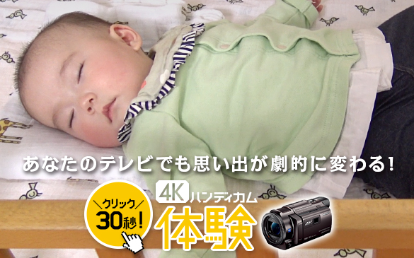 GP VPT1   デジタルビデオカメラ Handycam ハンディカム   ソニー