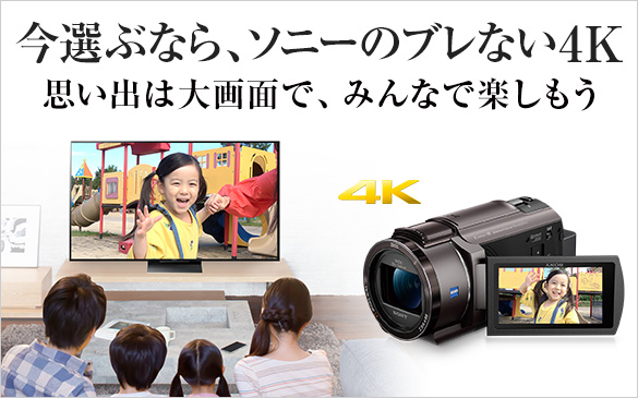 FDR-AX55 | デジタルビデオカメラ Handycam ハンディカム | ソニー