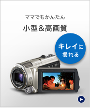 HDR-CX560V | デジタルビデオカメラ Handycam ハンディカム | ソニー