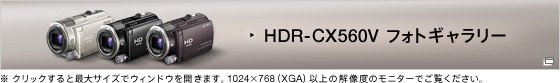 HDR-CX560V フォトギャラリー