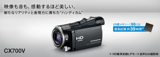 SONY HDR-CX700V(B) ケース付き